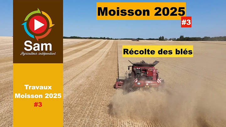 Harvest 2025 #3. Wheat harvest begins and rapeseed ends. Sharing and feelings.