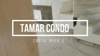 Tamar Condo Renovation Week 3 - Cabo San Lucas