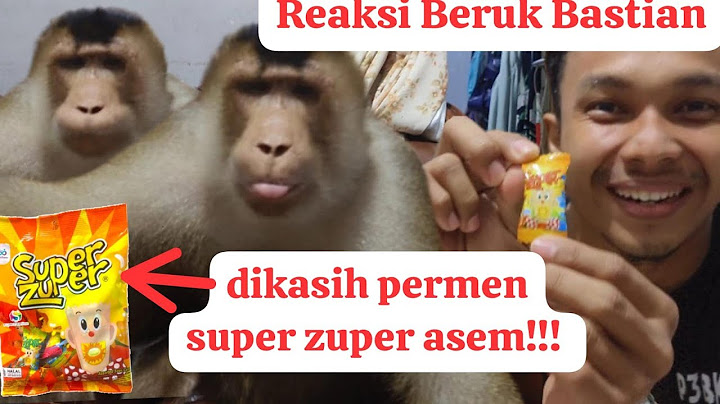 experimen beruk makan permen super asem!!!