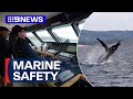 New technology for Sydney ferries helping protect marine-life | 9 News Australia
