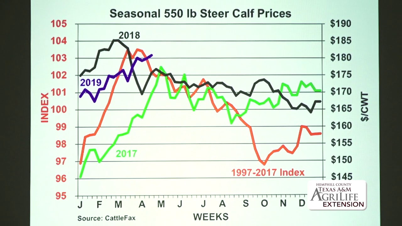 TROY APPLEHANS visual data 2