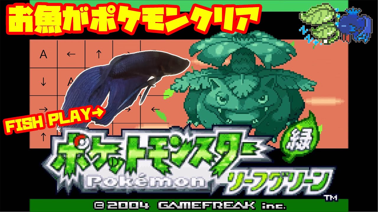 381h クチバシティ編 ペットの魚がポケモンクリア Fish Play Pokemon 作業用bgm Youtube