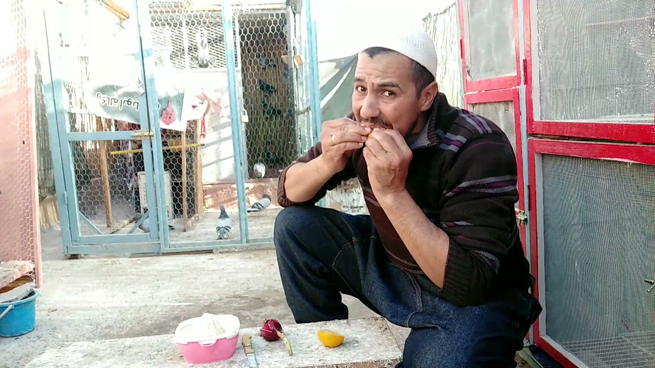 حمام الفعل الاصليل مراكش ✨❤️ تولعة معا الحميمات + تخلطة واعر في الماء،،،،+النضافة،،في البرك المسكنات