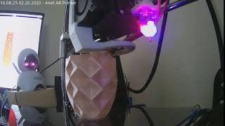Timelapse:PI3_pineapple_vase.gcode