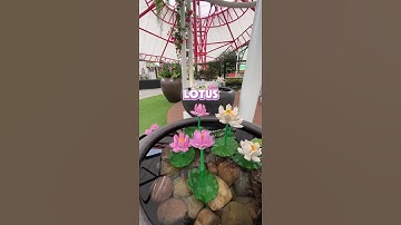 🌼 The LEGO® Flower Garden @ MINILAND🌸