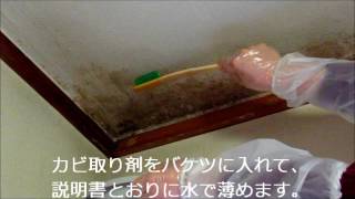 025 天井のカビ落し Mold removal on the ceiling