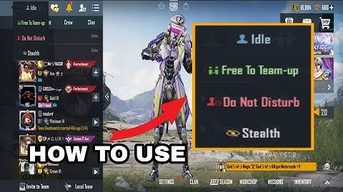 PUBG MOBILE NEW UPDATE | Do Not Disturb , Stealth , idle  IN PUBG MOBILE