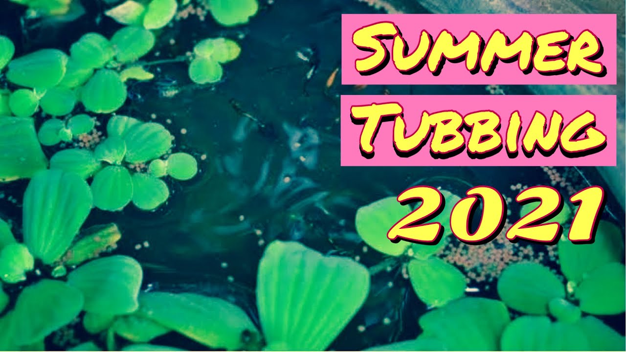 Mini Summer Tubbing 2021