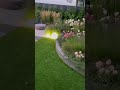 Моє літо🌸❤️