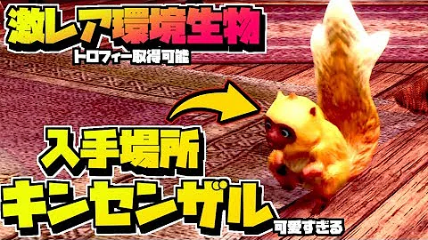 きんせんざる きんせんざる