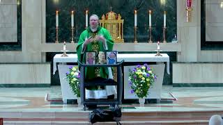 The Leprosy of Resentment in Marriage
Homily from 2/11/2024 for the 6th Sunday of Ordinary Time. Given by Fr. Matt Hartley at St. Thomas More Catholic Parish in Centennial, CO. The Leprosy of Resentment in Marriage