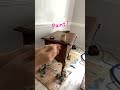 Paint to update!