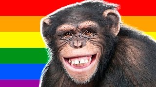 5 ЖИВОТНЫХ ГОМОСЕКСУАЛИСТОВ! Часть 1. 5 ЖИВОТНЫХ ГОМОСЕКСУАЛИСТОВ! Часть 1.
