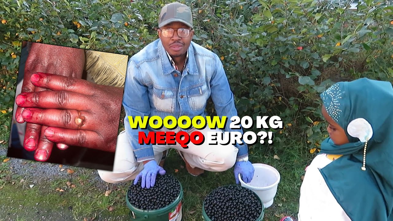 WAXAAN SOO GURANAY MIRIHI DARISKA NASIIYEEN!!