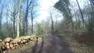 60 Minute Cross Country Run | Treadmill Workout | Indoor Running