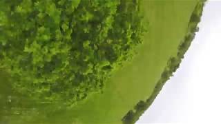 Training Trees Before Rain