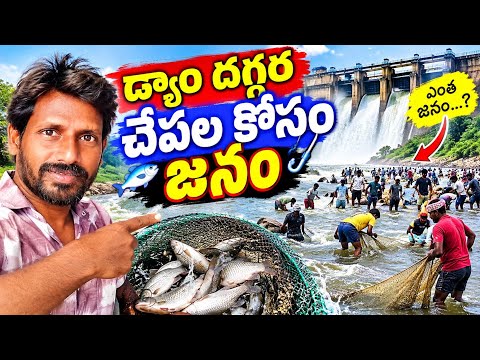 డ్యాం దగ్గర చేపల కోసం జనం #FishingVlog #VillageLife #VillageVlog #TeluguVlog #TeluguYouTube #Fish 