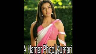 A Hamar Phool Kumari {Jumping Dance Mix}