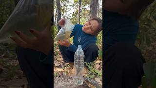 Survival Skills Easy Methood Saving Water Trnsfer To Botle
