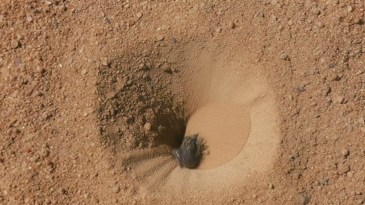 Dubai Summer By DISI Music