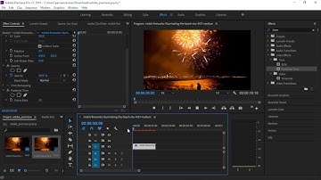 Adobe Premiere Pro – Stop Motion Effect