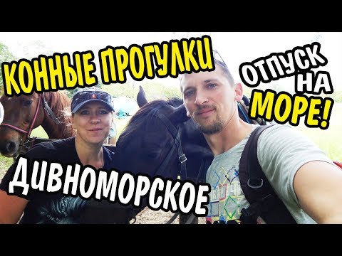 VLOG 492 Геленджик LIFE Конные прогулки в Дивноморском