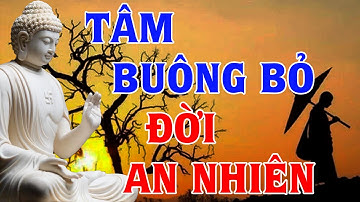 Buông Bỏ Để Bình An Nóng Giận Là Bản Năng Tĩnh Lặng Là Bản Lĩnh - Buông Bỏ Những Phiền Não Để An Vui