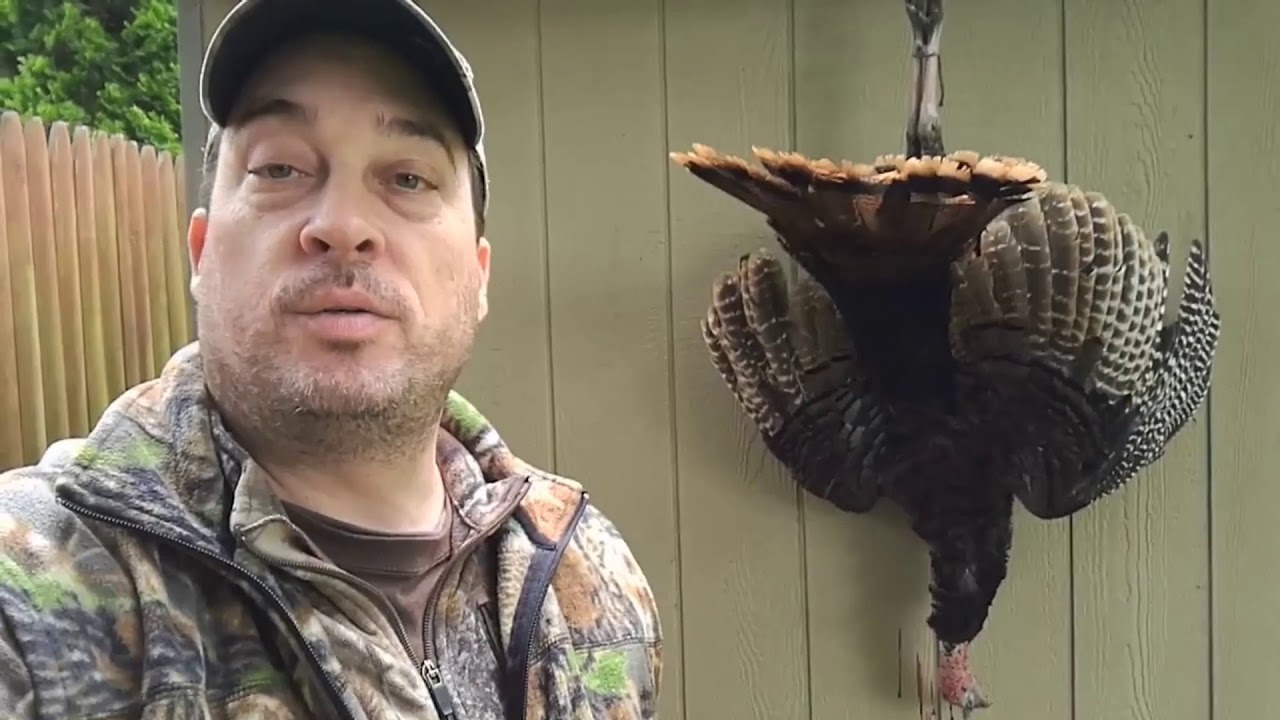 New York Turkey Hunting 2017 YouTube