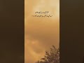 Poetry Stutas Video #1million #poetry #poetrystatus #sadpoetry #poetrylovers #urdupoetry #urduquotes