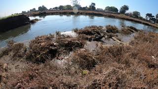 Time lapse of tide change near mouth of Carpinteria Salt Marsh