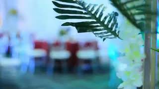 Famous Andrew weds Clare "Enchanted Forest" Themed Wedding Profile