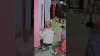 Her fight with Dog  #dog #fight #dogshorts #family #funny #vlog