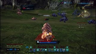 TERA Brawler is busted af! (At least in the starting zone) ;0)
