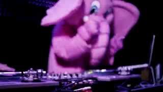 Official Pink Elephants Music Video