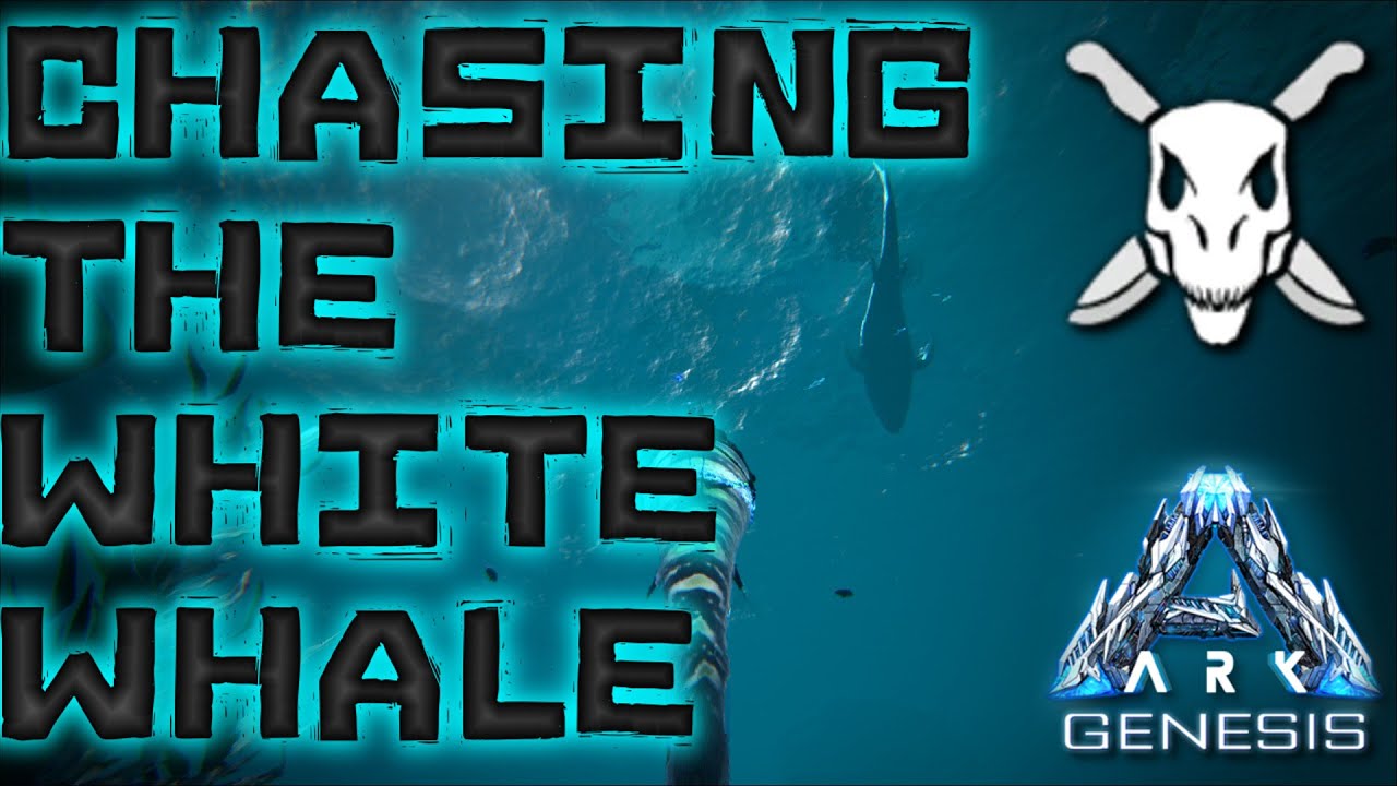 Chasing the White Whale