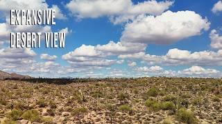 4K Sonoran Desert in Bloom | Panoramic Aerial Drone Footage | Available for Licensing