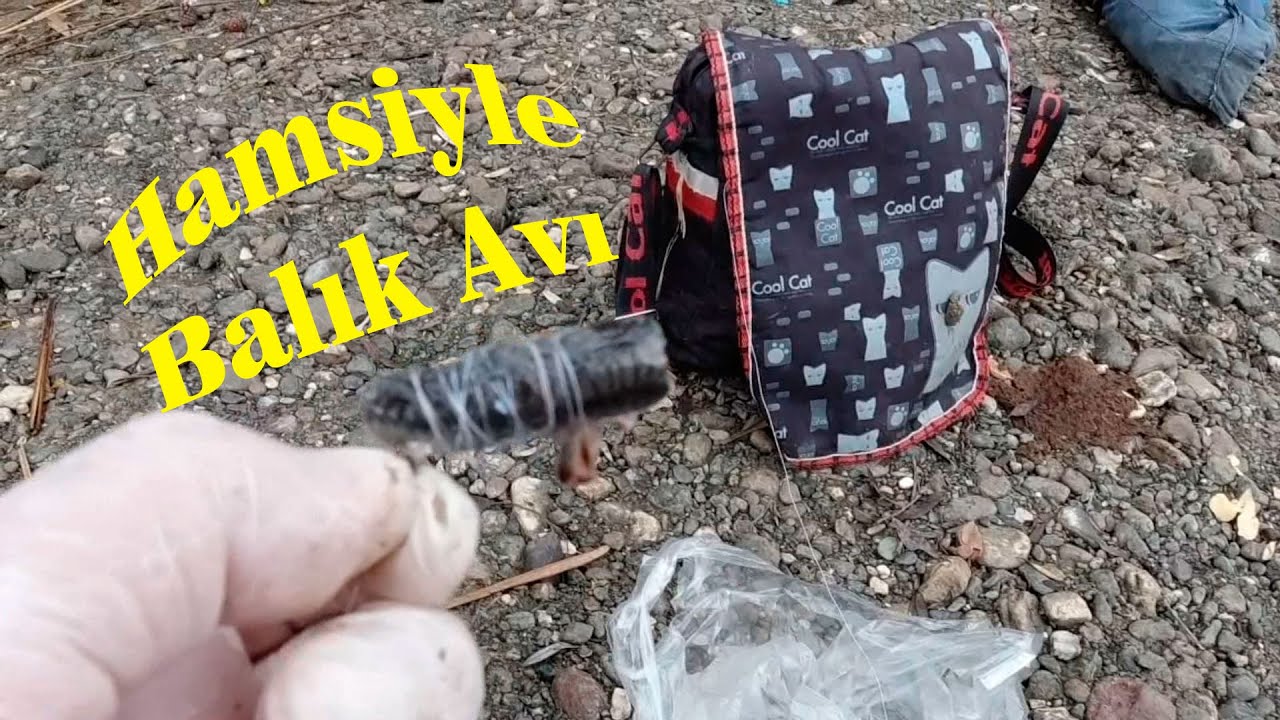 Balık Avı.Hamsi İle Balık Nasıl Avlanır.Hamsi İğneye Nasıl Takılır.Dip Oltası.Catch Fish. river.rod