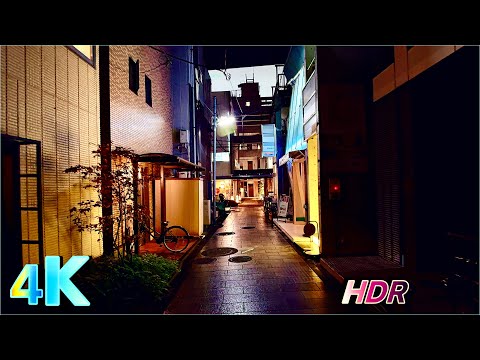 『TOKYO 100km VIEW』　130号変形 '24.10.6 4K・ Tokyo walk from day to night - Tokyo Futako-Tamagawa
