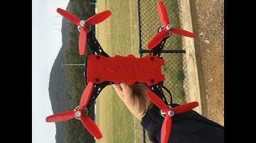 Mjx bugs 8 pro extreme acrobatic flying POV view