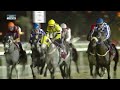 RM 48 Al Rayyan Race 5 - Additional Races