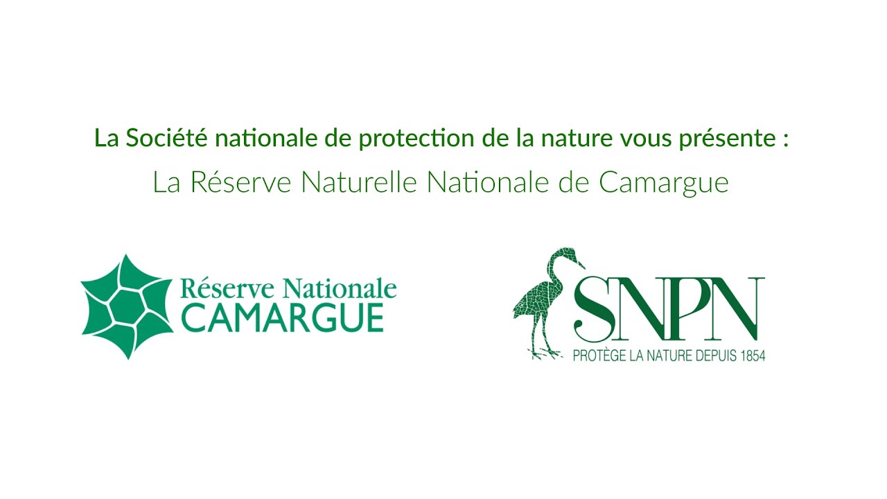 Découvrez la Réserve naturelle nationale de Camargue