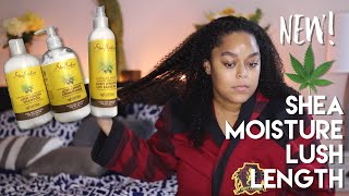 shea moisture sativa