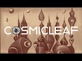 Capture de la vidéo Organic Ethnic Triphop & Downtempo Mix - Obsqure