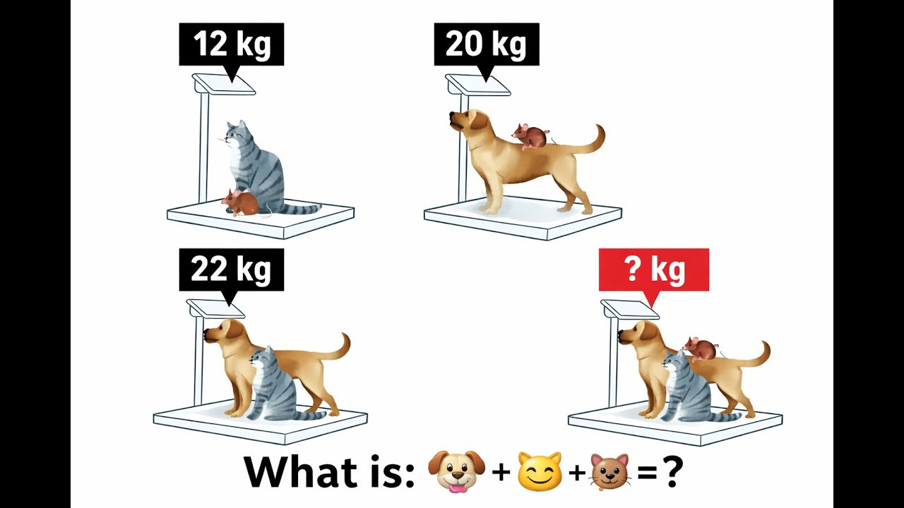Only 1% Can Solve This Animal Weight Puzzle 🐶🐱🐭