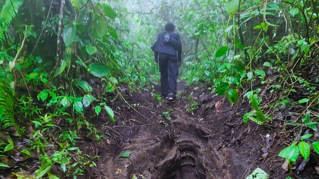 Mountain Hike! (Untouched Nature Discovery!) 🌲