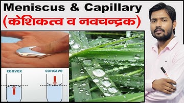 Meniscus | Capillary Fall and Rise | Angle of Contact | Cohesive & Adhesive  Force | Fluid Mechanism