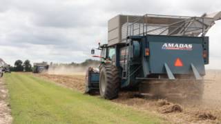 Peanut Maturity Clinic