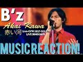 THAT IS A MASTERPIECE!🥲👏🏾B’z - 赤い河 Akai Kawa LIVE-GYM ‘17 - ‘18 LIVE DINOSAUR Music Reaction🔥