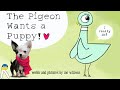 Puppy Adventure Quiz