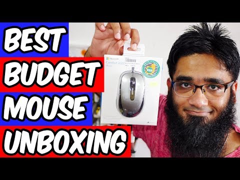Best Mouse in the World! | Microsoft Comfort Mouse 4500 Unboxing! [4K]